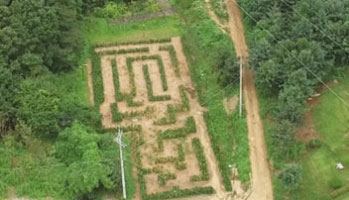 숲속미로원 이미지