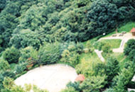 오금근린공원(오금동) 사진